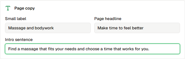 Page copy fields filled with an example headline and introduction.